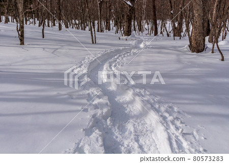 Snow back Nikko, snow trekking Snow back Nikko, snow trekking 80573283
