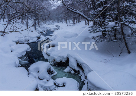 Snow Oku Nikko / Yukawa Snow Oku Nikko / Yukawa 80573286