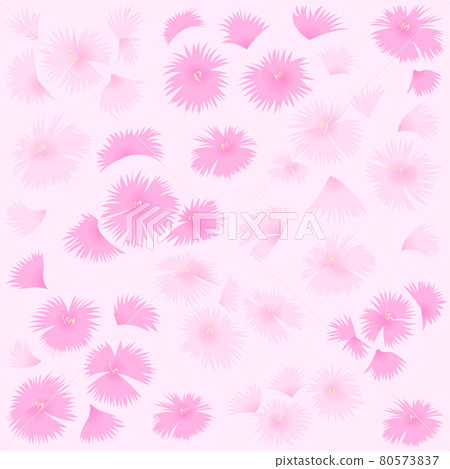 Dianthus background (vector illustration of flowers) 80573837