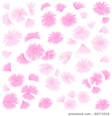 Dianthus background (vector illustration of flowers) 80573838