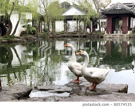[中國蘇州] 科苑 80574535