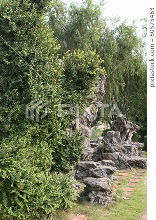 the landscape Penfold Park, shatin hk 15 Oct 2005 the landscape Penfold Park, shatin hk 15 Oct 2005 80575463