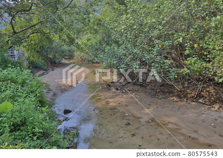 the landscape of Wang Tong river, hong kong, 23 July 2021 the landscape of Wang Tong river, hong kong, 23 July 2021 80575543
