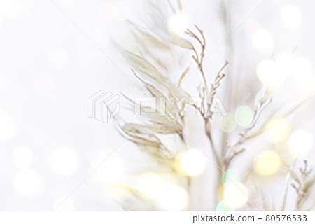 Frozen plants in a forest meadow. Macro. Shallow depth of field. Bokeh Frozen plants in a forest meadow. Macro. Shallow depth of field. Bokeh 80576533