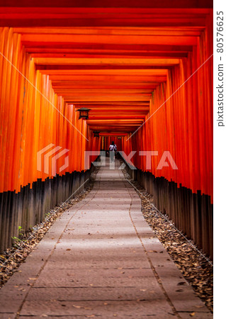 <Kyoto> Fushimi Inari Taisha Shrine, Senbon Torii 80576625