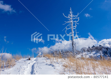 Mt. Hiko in the snow Mt. Hiko in the snow 80577141