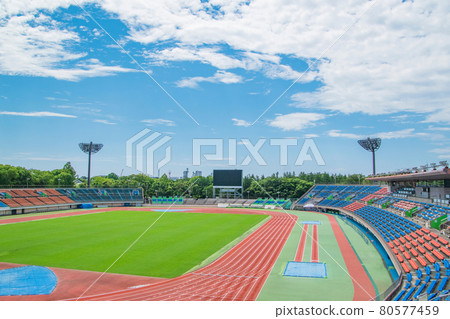 Arena Arena 80577459