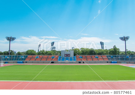 Arena Arena 80577461