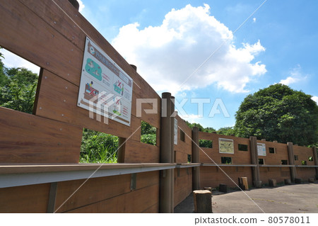 紀奴田公園鳥類保護區的野鳥觀察窗 紀奴田公園鳥類保護區的野鳥觀察窗 80578011