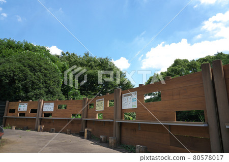 紀奴田公園鳥類保護區的野鳥觀察窗 紀奴田公園鳥類保護區的野鳥觀察窗 80578017