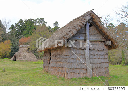 新潟縣絲魚川市長者原考古遺址 80578395