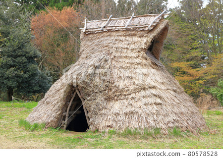 Chojagahara Archaeological Site, Itoigawa City, Niigata Prefecture 80578528