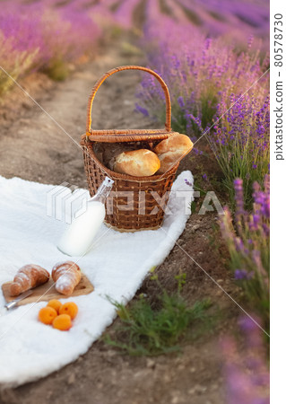 wicker basket with two baguettes and bottle of milk on white blanket at picnic in lavender wicker basket with two baguettes and bottle of milk on white blanket at picnic in lavender 80578730