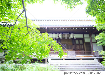 Take a walk in Kyoto Sagano Take a walk in Kyoto Sagano 80579023