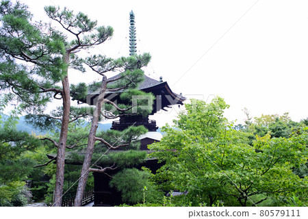 在京都嵯峨野散步 在京都嵯峨野散步 80579111