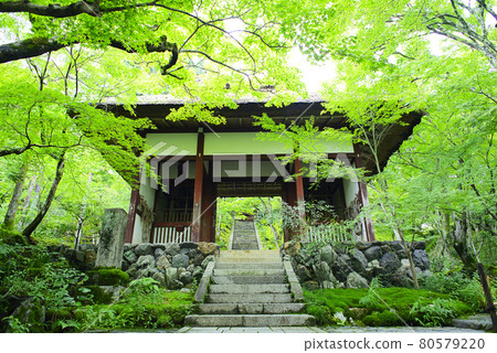 在京都嵯峨野散步 在京都嵯峨野散步 80579220