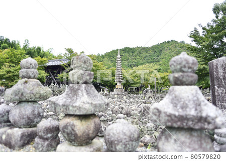 Take a walk in Kyoto Sagano Take a walk in Kyoto Sagano 80579820