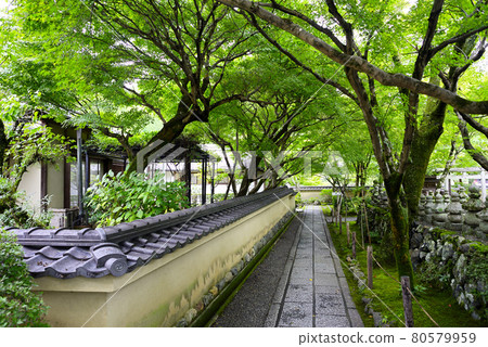 Take a walk in Kyoto Sagano Take a walk in Kyoto Sagano 80579959