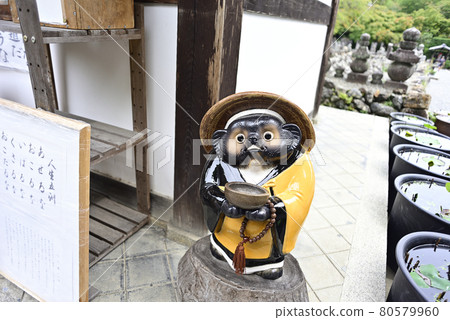 在京都嵯峨野散步 在京都嵯峨野散步 80579960