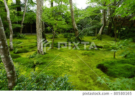 在京都嵯峨野散步 在京都嵯峨野散步 80580165