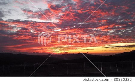 微紅的夕陽 80580323