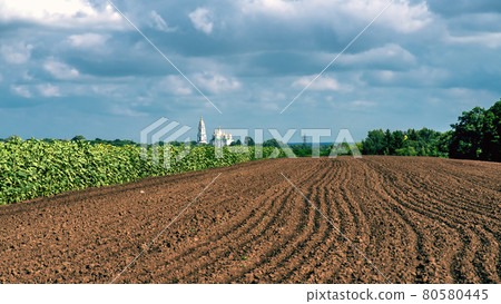 A plowed field against the backdrop of a church, forest, clouds in the sky and ripening sunflowers 80580445