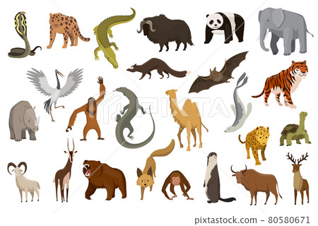 Collection of cute vector animals. Hand drawn animals which are common in Asia. Icon set isolated on a white background 80580671