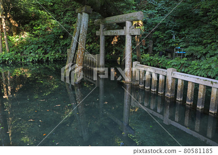 鹿島神社的御手洗池塘 鹿島神社的御手洗池塘 80581185