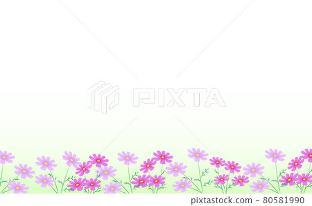 Cosmos frame under background light green Cosmos frame under background light green 80581990