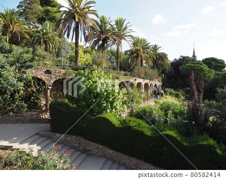 Exotic park of european city of Barcelona in Spain Exotic park of european city of Barcelona in Spain 80582414