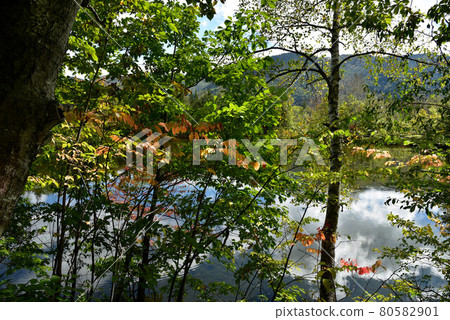 乘鞍高原一之森地風景 乘鞍高原一之森地風景 80582901