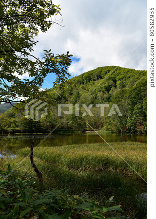 乘鞍高原一之森地風景 乘鞍高原一之森地風景 80582935