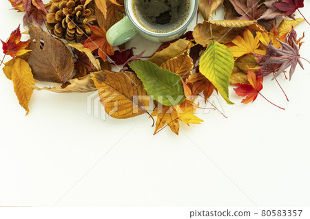 落葉、咖啡和影印空間 80583357