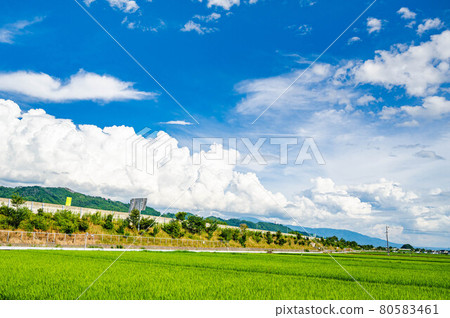夏季安曇野立交附近的田園風光 夏季安曇野立交附近的田園風光 80583461