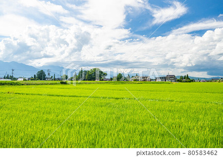 夏日田園風光安曇野市 夏日田園風光安曇野市 80583462