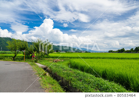 夏日田園風光安曇野市 夏日田園風光安曇野市 80583464