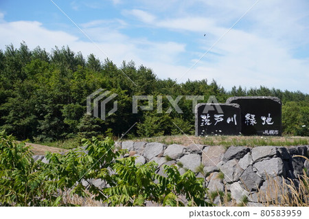 巴拉托川綠地(札幌市) 巴拉托川綠地(札幌市) 80583959