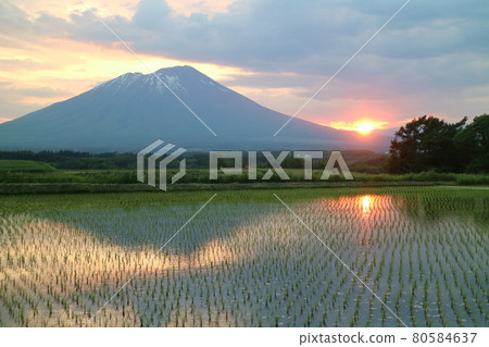 Mt. Iwate and the setting sun reflected in the rice fields 80584637
