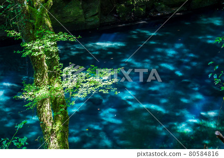 Beautiful scenery of Kikuchi Gorge in the early morning 80584816