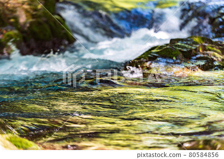 Beautiful scenery of Kikuchi Gorge in the early morning Beautiful scenery of Kikuchi Gorge in the early morning 80584856