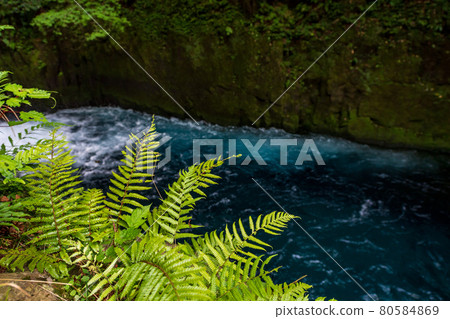 Beautiful scenery of Kikuchi Gorge in the early morning Beautiful scenery of Kikuchi Gorge in the early morning 80584869