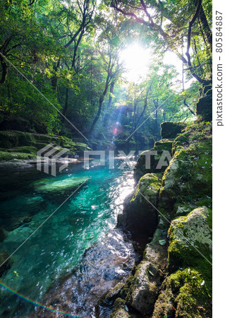Beautiful scenery of Kikuchi Gorge in the early morning Beautiful scenery of Kikuchi Gorge in the early morning 80584887
