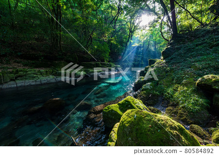 Beautiful scenery of Kikuchi Gorge in the early morning Beautiful scenery of Kikuchi Gorge in the early morning 80584892