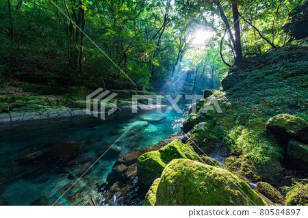 Beautiful scenery of Kikuchi Gorge in the early morning 80584897