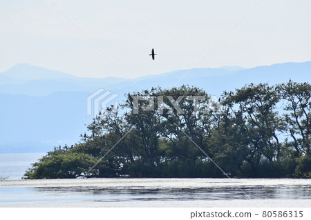 Shiga Prefecture Shiga Prefecture 80586315