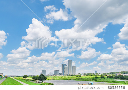 Skyscrapers of Futakotamagawa seen across the Tama River green area Skyscrapers of Futakotamagawa seen across the Tama River green area 80586356