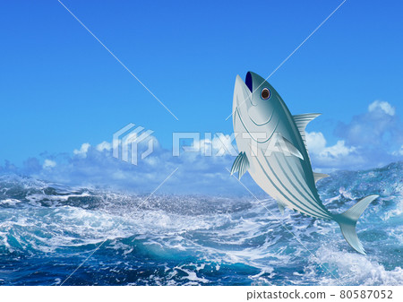 Skipjack 和粗糙的波浪（水平） 80587052