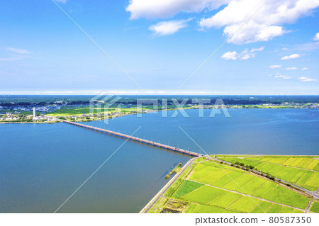 夏季霞浦和霞浦大橋（茨城縣） 80587350