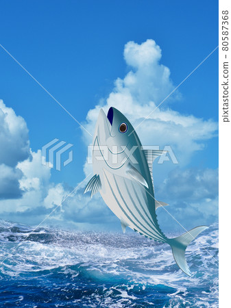 Skipjack 和粗糙的波浪（垂直） 80587368