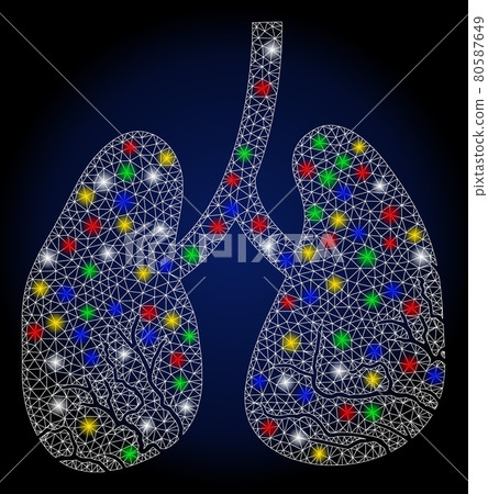 Flare Mesh Carcass Lung Cancer with Color Flare Spots Flare Mesh Carcass Lung Cancer with Color Flare Spots 80587649